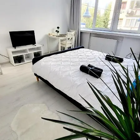 Victoriei Central Studio Apartment Bukarest