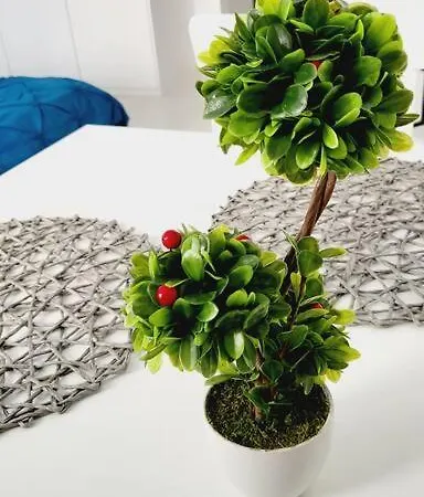 Victoriei Central Studio Апартаменты *