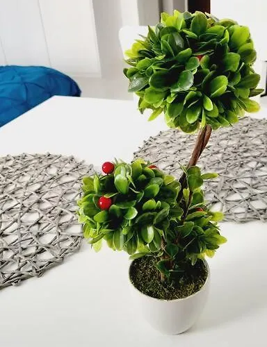 Victoriei Central Studio Апартаменты *