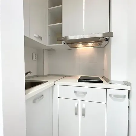 Apartment Victoriei Central Studio *