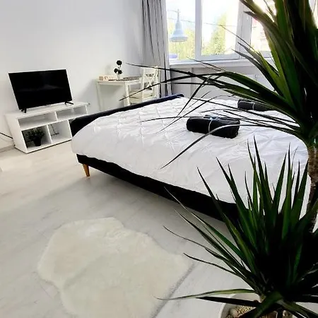 Victoriei Central Studio Apartament