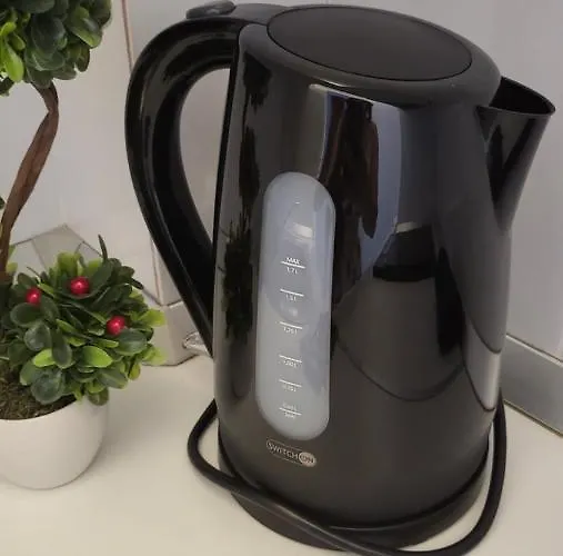 Victoriei Central Studio