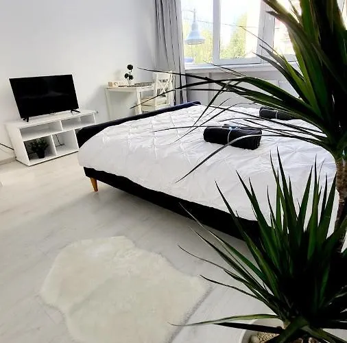 Victoriei Central Studio Apartment