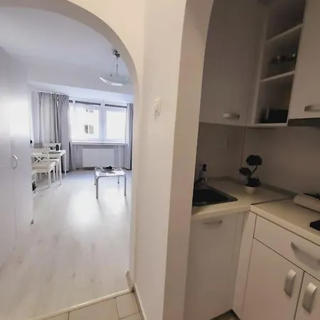Victoriei Central Studio Daire *