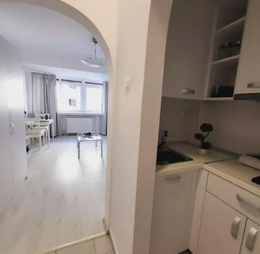 Victoriei Central Studio Daire *